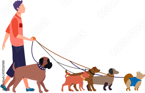 Young male dog walker with four different breeds on leashes. Casual urban pet care and animal job vector illustration.