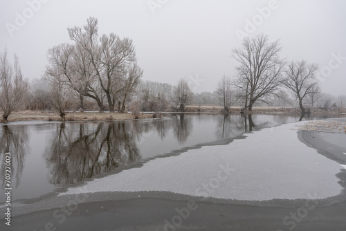 Winter at Spree river © zalu.photo