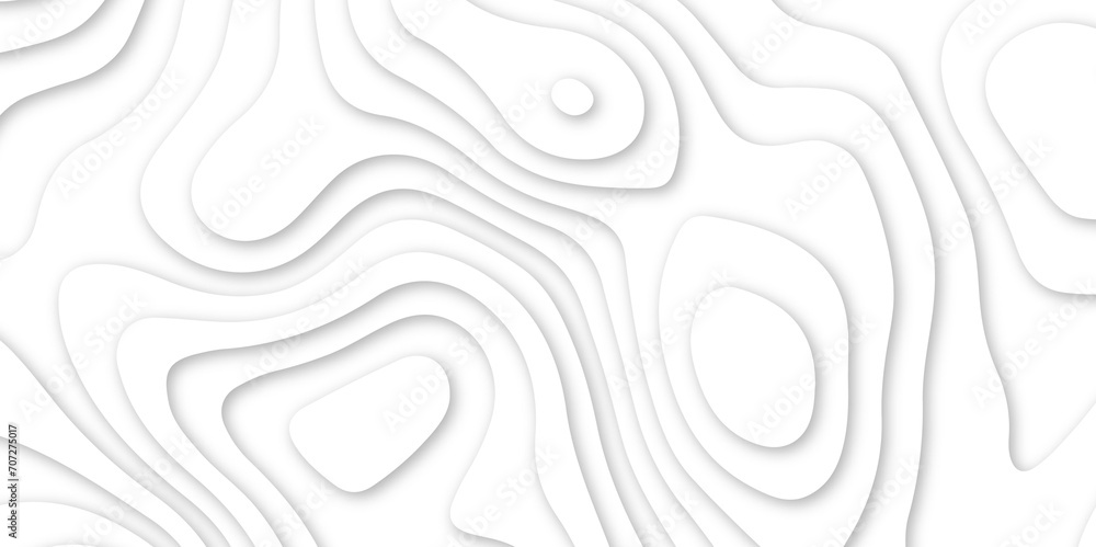 Abstract wavy line 3d paper cut white background. abstract white background with smooth wavy layers. silver grid map line topography mount contour map .