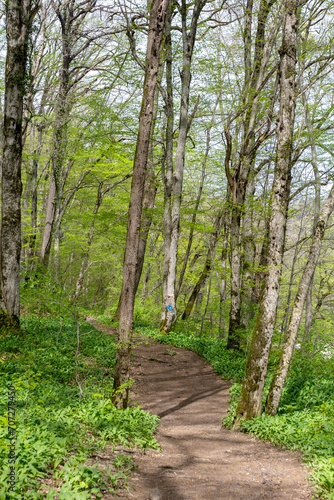 Spring walks in nature on a dirt road leading to the forest.