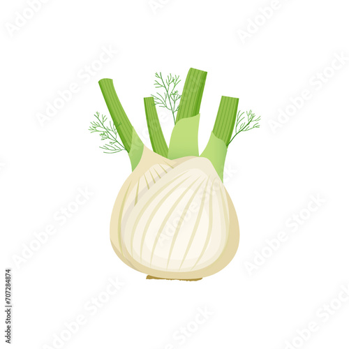 Cartoon fennel vector alphabet F vegetable
