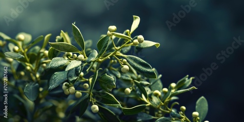 A detailed view of berries on a plant. Perfect for nature and botanical-themed projects