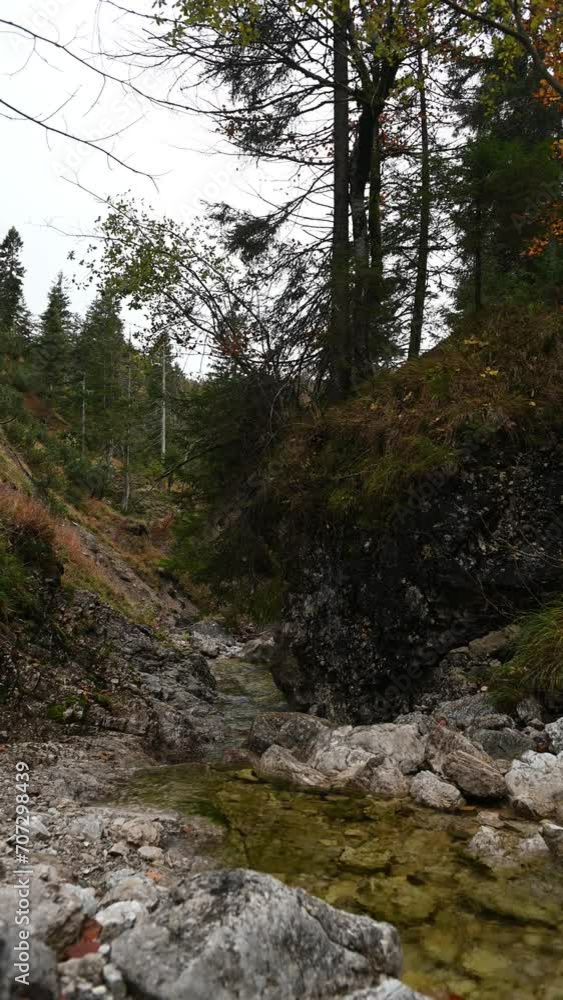 Vertical shot of a mountain stream in autumn, overcast