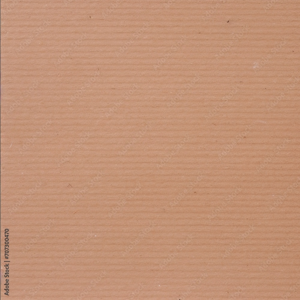 Fototapeta premium cardboard Paper Texture, Grainy craft Paper Background Texture