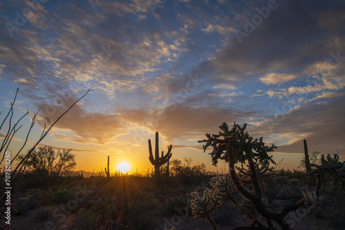 Saguaro Sunset © Jason