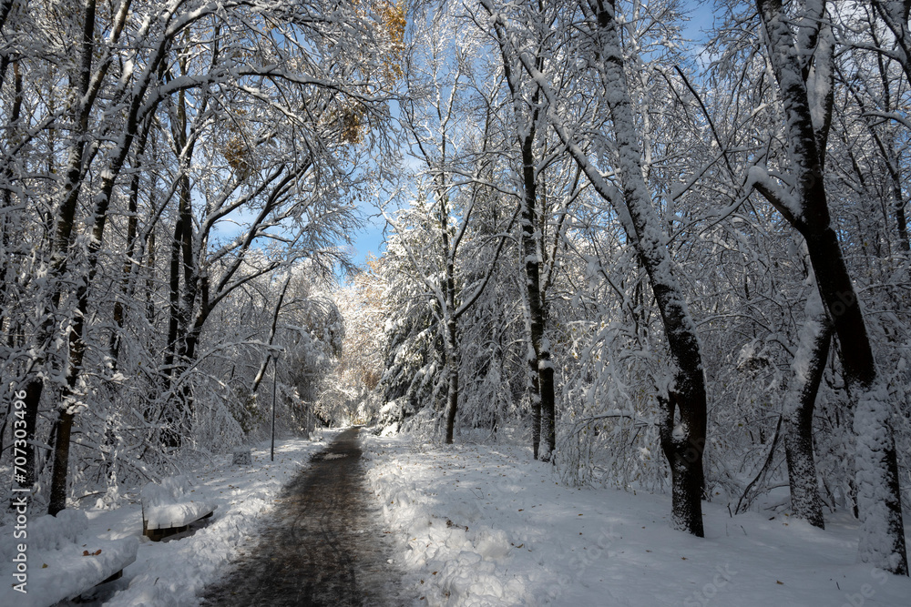 Winter Landscape of South Park in city of Sofia, Bulgaria Winter Landscape of South Park in city of Sofia, Bulgaria