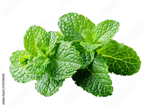 Fresh Mint Leaves on isolate Background