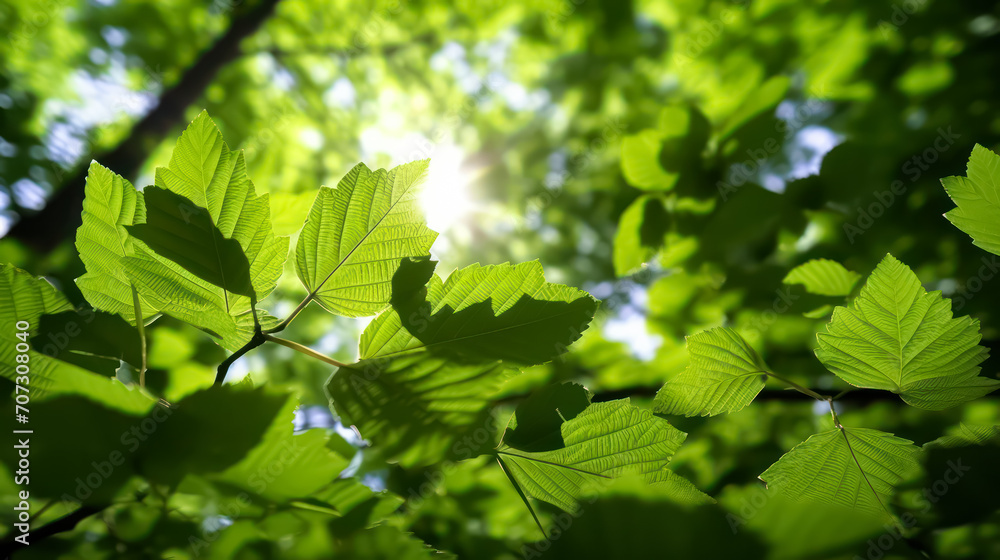 Obraz premium The vibrant green leaves in the summer garden create a natural backdrop