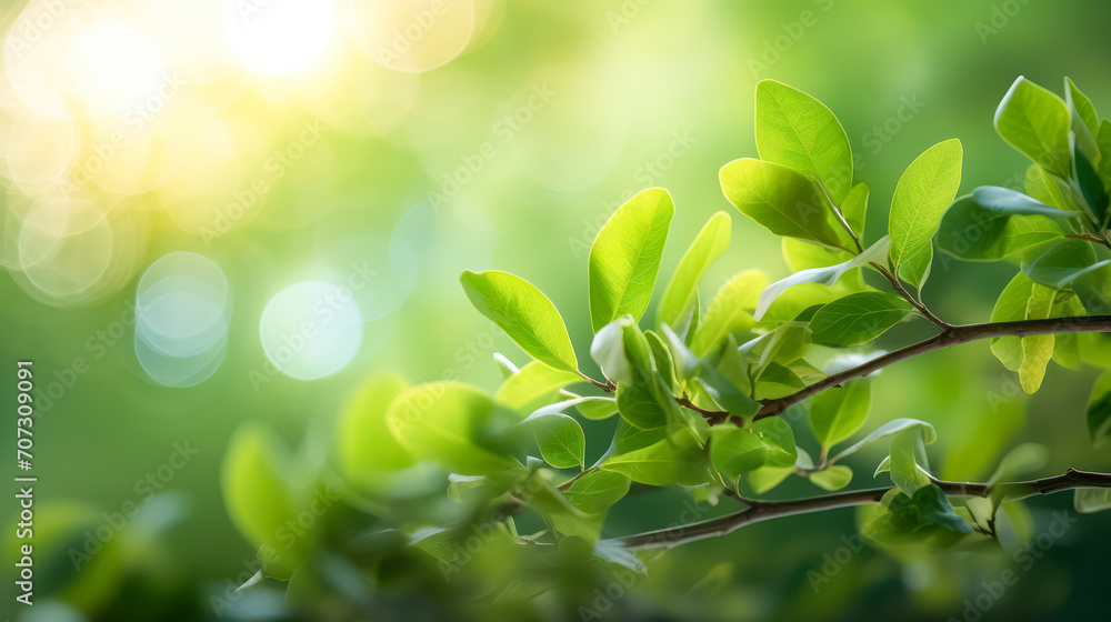 The vibrant green leaves in the summer garden create a natural backdrop The vibrant green leaves in the summer garden create a natural backdrop