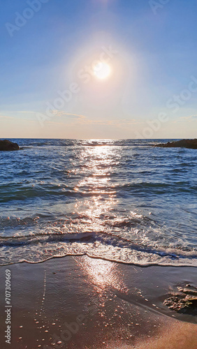 Green palm tree leaves and sun light on blue sky background.