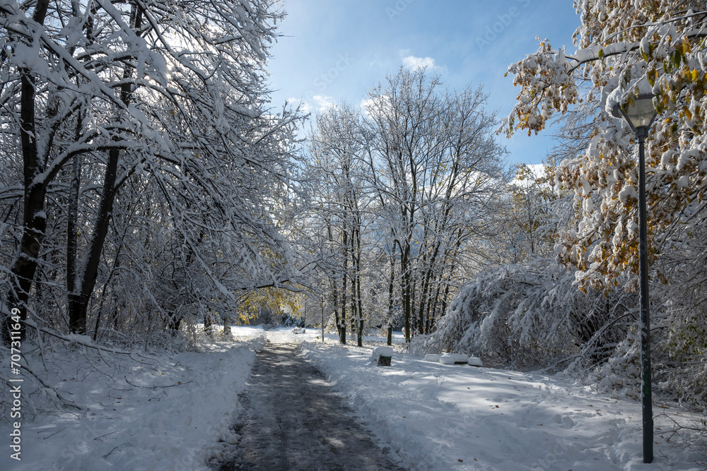 Winter Landscape of South Park in city of Sofia, Bulgaria Winter Landscape of South Park in city of Sofia, Bulgaria
