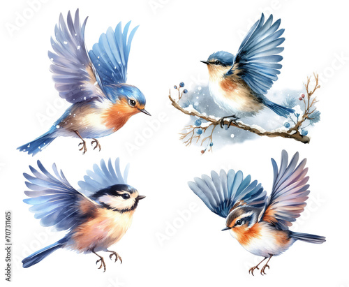 Set of flying birds. Winter, Christmas. Watercolor illustration © Yuliia