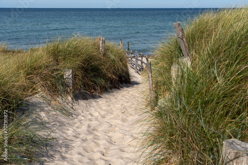 Dünen mit Strandgras am weißen Strand der Ostsee im Nationalparks Vorpommersche Boddenlandschaft Fischland Zingst Darß, Mecklenburg-Vorpommern