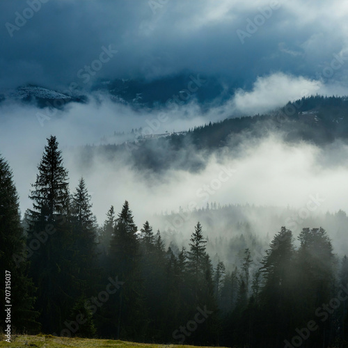 Misty landscape with fir forest in hipster vintage retro style © netsay