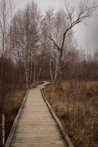 Rustic Trails © Jason