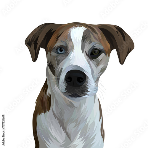 dog vector illustration realistic transparent background
