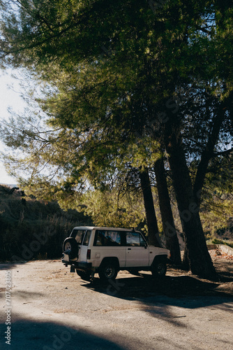 Old off-road truck under a tree in a mountainous landscape