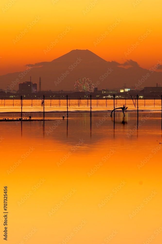 Fototapeta premium 三番瀬からの富士山の夕景 ふなばし三番瀬海浜公園