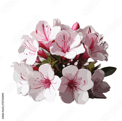 bouquet of pink and white color Azalea  flower vector artwork 
