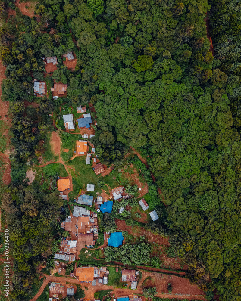 Fototapeta premium Aerial shot showcases a small village nestled amidst a sprawling green forest, offering a unique perspective on rural life.