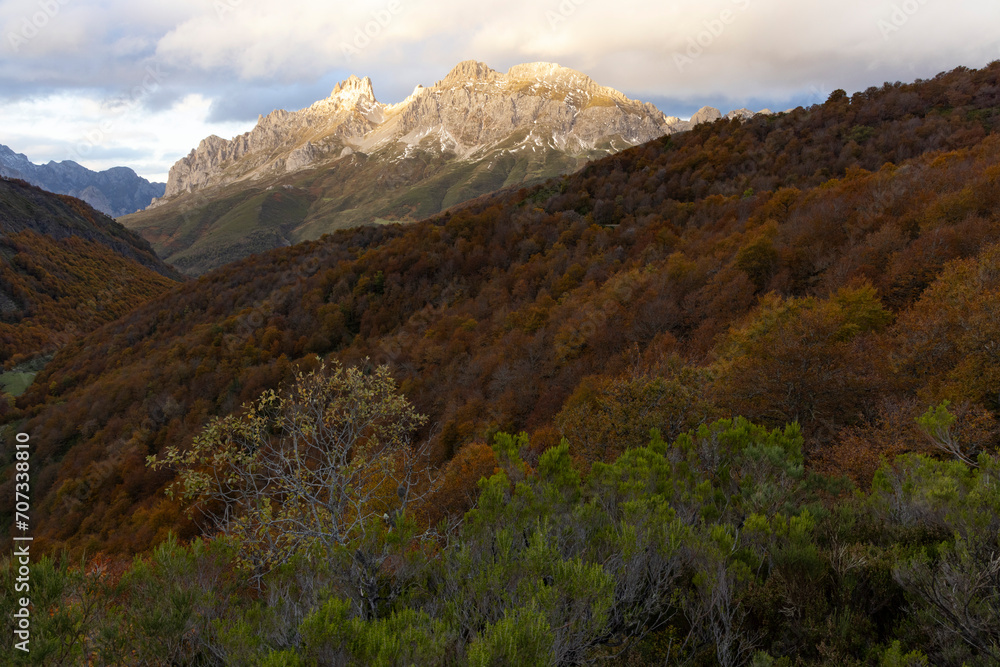 Panoramic landscape of Picos de Europa national park in Autumn with brigh colorful leaves in fall