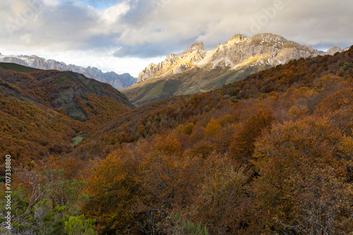 Picos de Europa National park landscape during autumn with colorful foliage leaves and bright mountain ridge