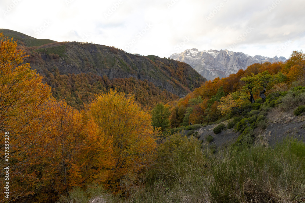 Landscape of Picos de Europa mountains in Spain at sunset with autumn forest leaves