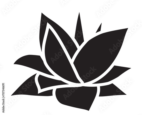 Blue agave isolated on white background. Side view of Mexican traditional succulent plant, used for production of tequila. Hand drawn black and white vector sketch