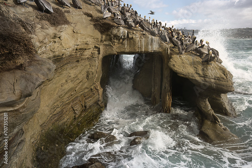 2024-01-11 A CAVE WITH WAVES SMASHING THROUGH THE OPENING WITH BROWN PELICANS ON TOP OF THE ROCK FORMATION WITH WAVES AND A NICE SKY AT THE LA JOLLA COVE NEAR SAN DIEGO CALIFORNIA photo