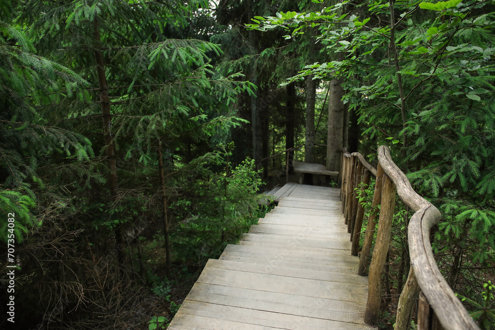 Fototapeta premium View of wooden walkway in green forest