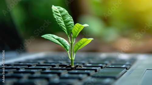 Generative AI, Plant growing from the laptop keyboard. Ecology and environment concept