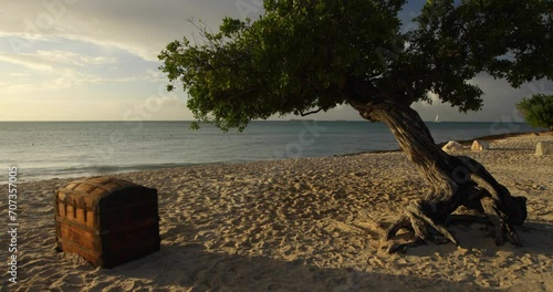 Old treasure chest and tree on sandy beach 
