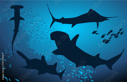 tiburon martillo, pescado, siluetas, tiburon, pegatina, pez vela, 