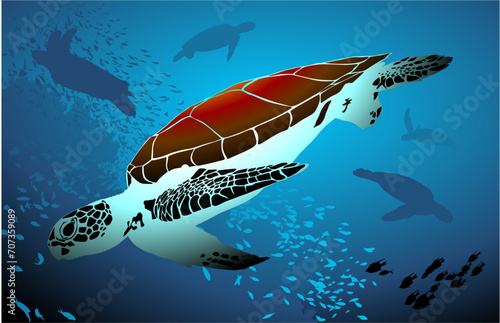 tortugas, animal marino, siluetas, debajo del mar
