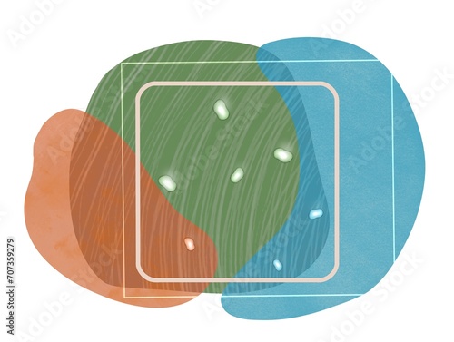 Hand drawn various shapes and designs. Pastel colors, seeds, kernels in the center
