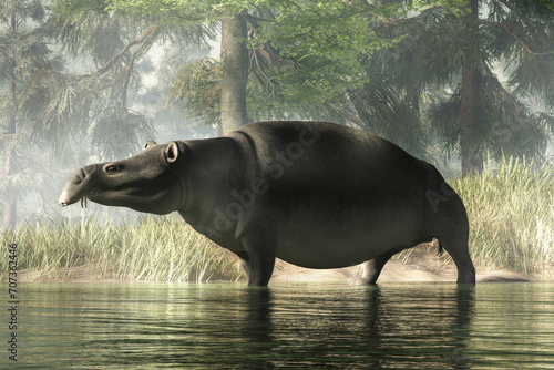 Moeritherium was a semi-aquatic eocene era prehistoric mammal. A type of proboscidean, it was related to elephants and sea cows. 3D Rendering photo