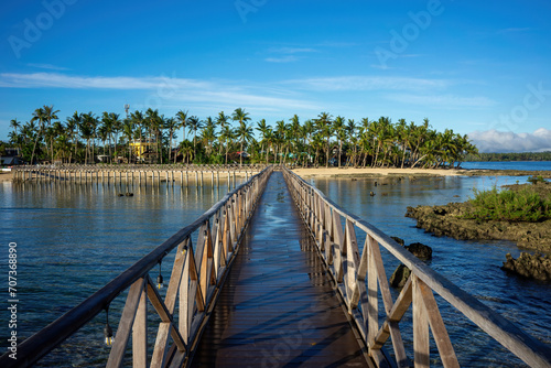 Fototapeta Naklejka Na Ścianę i Meble -  Gateway to Paradise: Wooden Pier Leading to a Palm-Fringed Shoreline