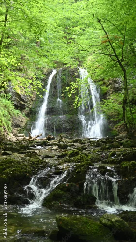 Vertical shot of a cascading waterfalls in a summer forest Vertical shot of a cascading waterfalls in a summer forest