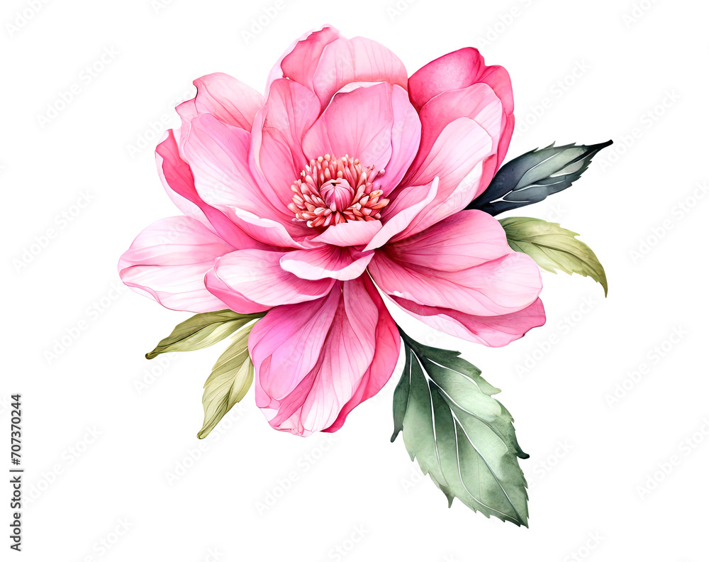 Beautiful delicate pink painted flower on white background.