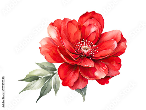 Beautiful delicate red painted flower on white background.