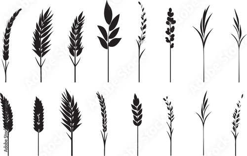 Set of minimalistic flat design wheat silhouettes. Hand drawn vector illustration © Михаил Н