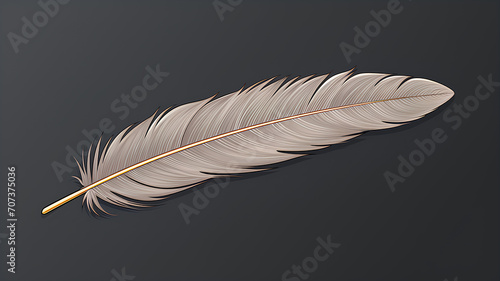  Feather isolated on gray background.
