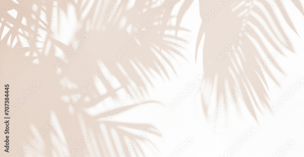 Abstract silhouette shadow white background of natural leaves tree branch falling on wall. blurry shadow of tropical leaves morning sun light.	 - obrazy, fototapety, plakaty 
