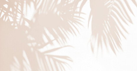 Abstract silhouette shadow white background of natural leaves tree branch falling on wall. blurry shadow of tropical leaves morning sun light.	