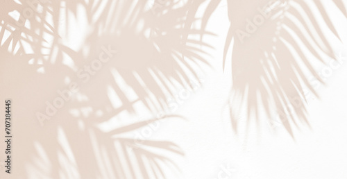 Abstract silhouette shadow white background of natural leaves tree branch falling on wall. blurry shadow of tropical leaves morning sun light.	 photo