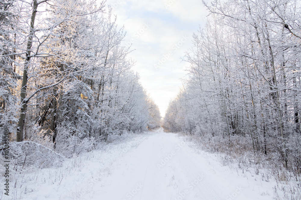 Idyllic winter snowy country road and frosted trees. Idyllic winter snowy country road and frosted trees.