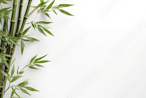 Top view of green bamboo stem and leaves on light background with space for text photo