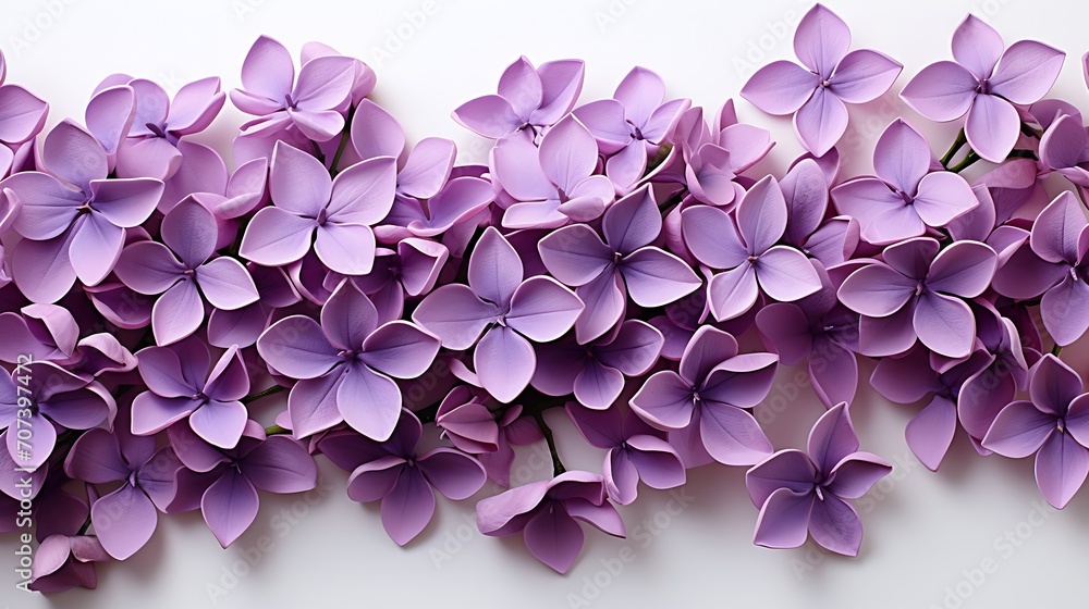 small purple lilac flowers isolated over a white background, floral spring design elements with subtle shadows, top view, flat lay : Generative AI small purple lilac flowers isolated over a white background, floral spring design elements with subtle shadows, top view, flat lay : Generative AI