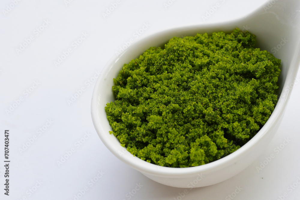 Wolffia globosa or swamp algae, water meal Wolffia globosa or swamp algae, water meal