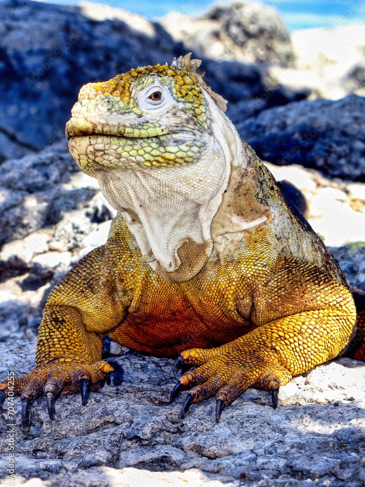 Obraz premium Galápagos Islands